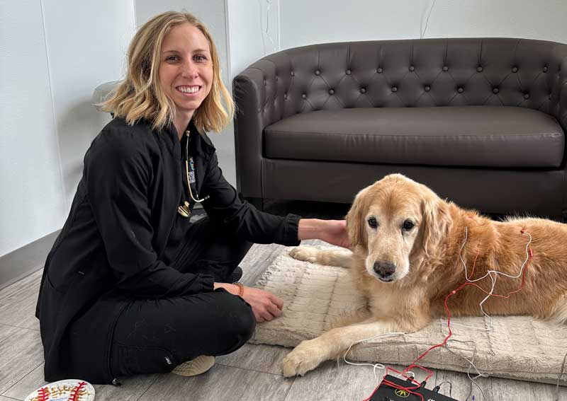 Carousel Slide 2: Now offering pet acupuncture!