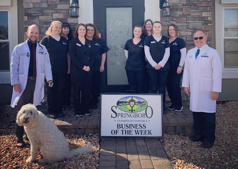 Carousel Slide 6: Veterinary staff for