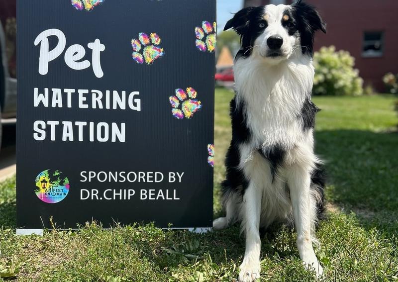 Carousel Slide 5: Springboro dog vet