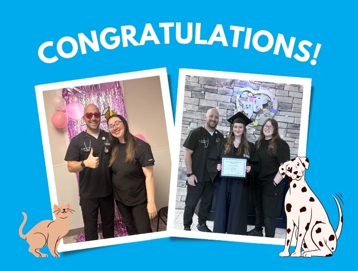 Celebrating Milestones: Big Achievements From Our Incredible Team